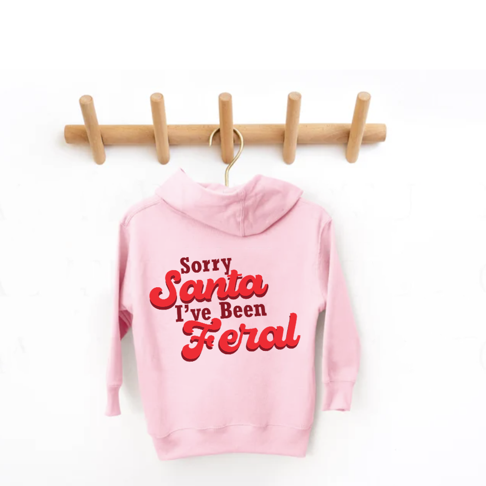 Sorry Santa, I've Been Feral Hoodie
