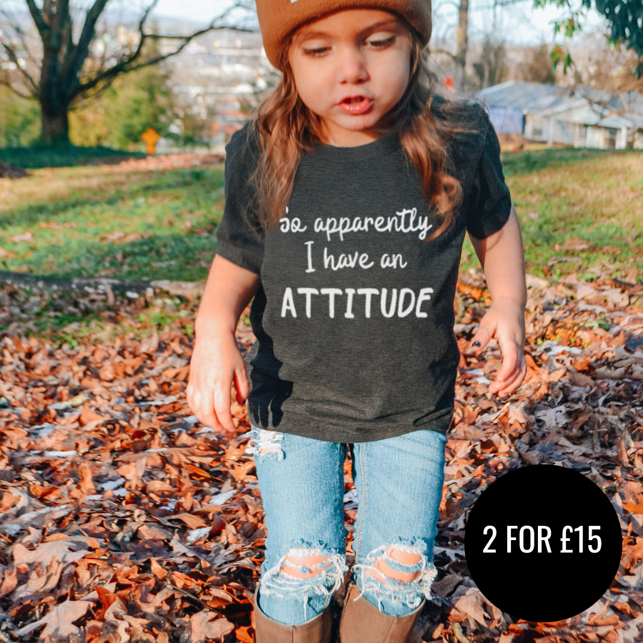 Apparently I Have An Attitude Kids T-Shirt